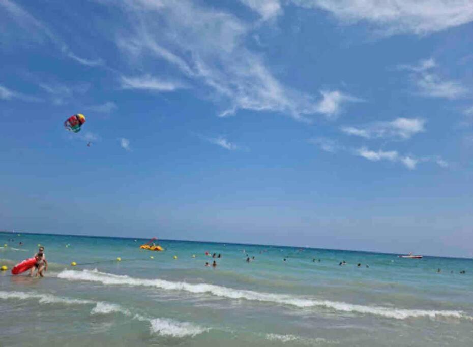 Charming & Spacious Apartment In Historic Centre & Short Walk To Beach Alicante Exterior foto