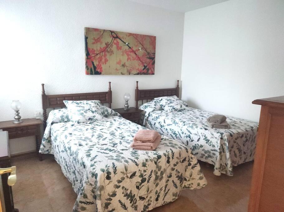 Charming & Spacious Apartment In Historic Centre & Short Walk To Beach Alicante Exterior foto